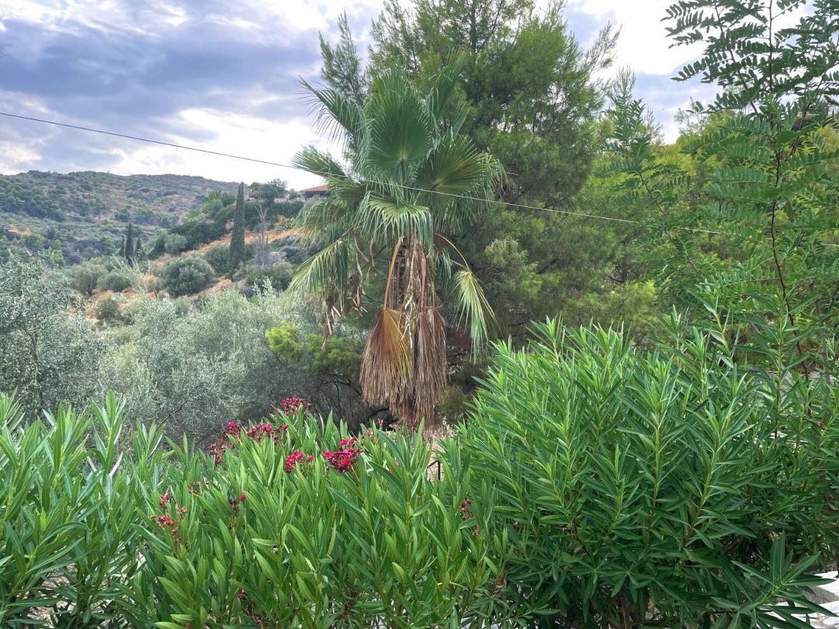 Peloponnese Hideout - Traditional Stone House Ακράτα Εξωτερικό φωτογραφία